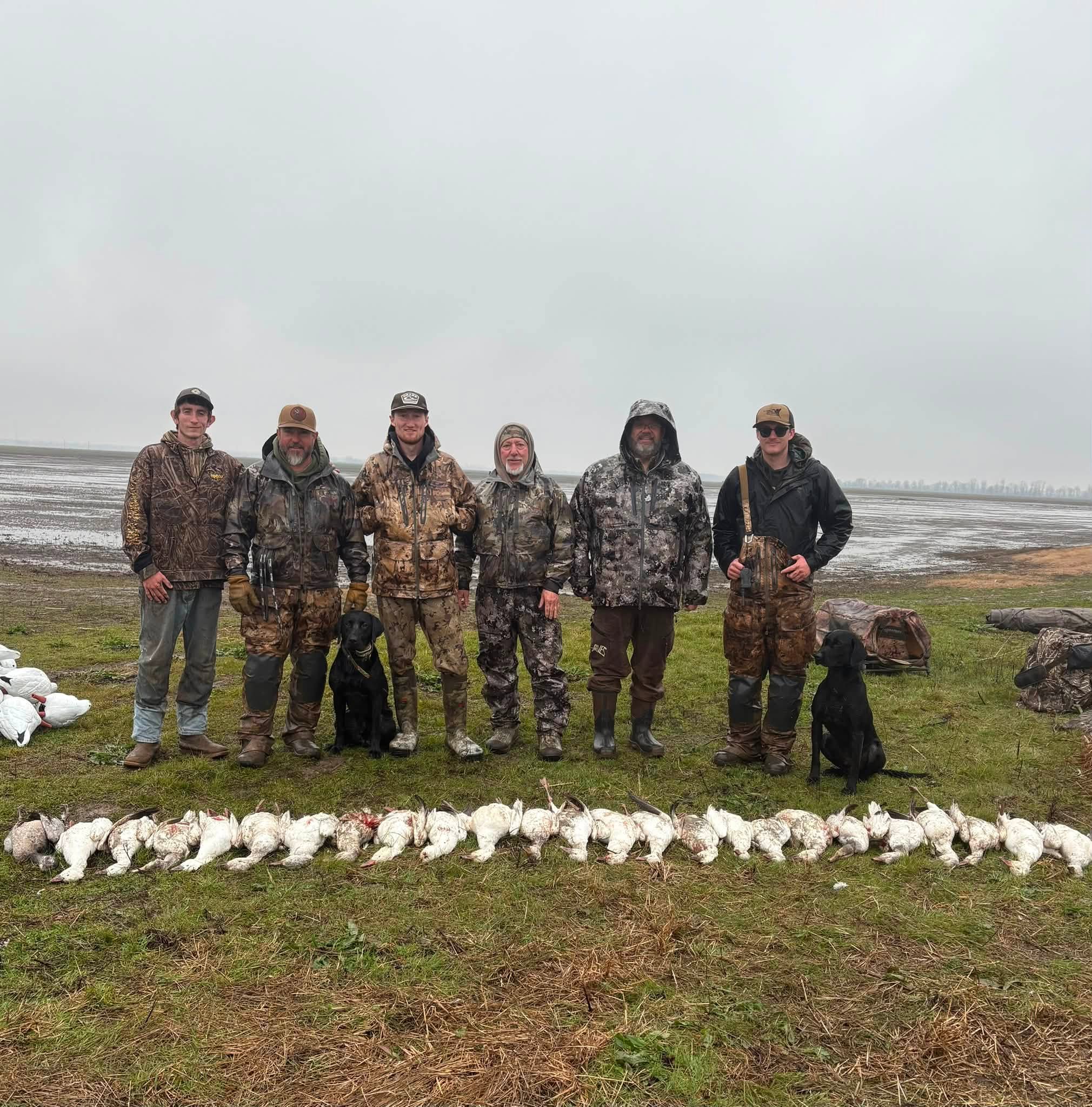 Hunting photo